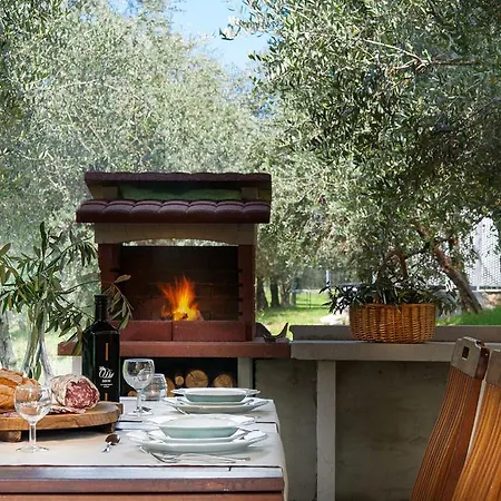 Olea Dei