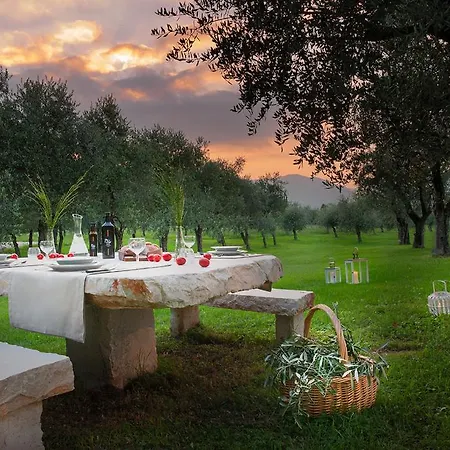 Olea Dei Apartamento