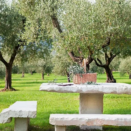 Olea Dei Apartamento