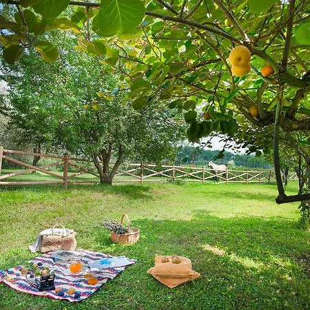 Apartamento Olea Dei San Felice del Benaco