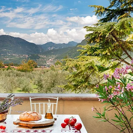 Apartamento Olea Dei *